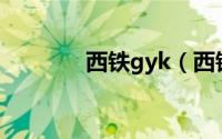 西铁gyk（西铁是什么意思）