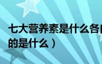 七大营养素是什么各自的作用（七大营养素指的是什么）