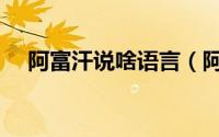 阿富汗说啥语言（阿富汗说什么语言啊）