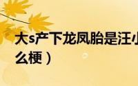 大s产下龙凤胎是汪小菲的孩子（龙凤胎是什么梗）