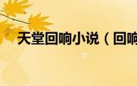 天堂回响小说（回响小说中慕达夫坏么）