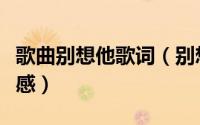 歌曲别想他歌词（别想他这首歌表达了什么情感）