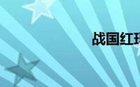 战国红玛瑙鉴赏