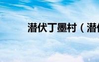 潜伏丁墨村（潜伏里丁默邨是谁）