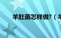 羊肚菌怎样做?（羊肚菌正宗的做法）