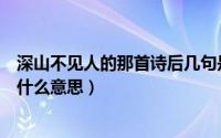 深山不见人的那首诗后几句是什么（深山不见鹿深海不见鲸什么意思）
