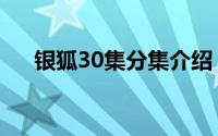 银狐30集分集介绍（银狐45集大结局）