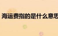 海运费指的是什么意思（海运费指的是什么）