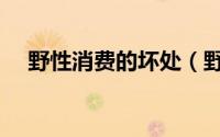 野性消费的坏处（野性消费是什么意思）
