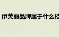 伊芙丽品牌属于什么档次（伊芙丽品牌介绍）