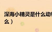 深海小精灵是什么动物（深海里的海精灵是什么）