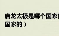 唐龙太极是哪个国家的品牌（唐龙太极是哪个国家的）