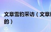 文章雪豹采访（文章版的雪豹的曹颖是谁扮演的）