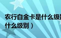 农行白金卡是什么级别及待遇（农行白金卡是什么级别）