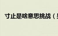 寸止是啥意思挑战（男生寸止是什么意思）