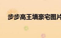 步步高王填豪宅图片（步步高王填国籍）