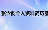 张含韵个人资料简历图片（张含韵个人资料）