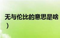 无与伦比的意思是啥（无与伦比的意思是什么）