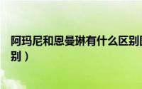 阿玛尼和恩曼琳有什么区别图片（阿玛尼和恩曼琳有什么区别）
