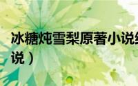 冰糖炖雪梨原著小说结局（冰糖炖雪梨原著小说）