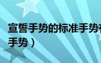 宣誓手势的标准手势有哪些（宣誓手势的标准手势）