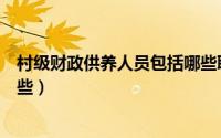 村级财政供养人员包括哪些职业（村级财政供养人员包括哪些）