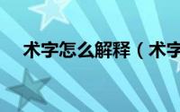 术字怎么解释（术字读音及释义是什么）