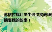苏格拉底让学生通过摘麦穗懂得什么道理（苏格拉底让弟子摘麦穗的故事）