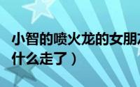 小智的喷火龙的女朋友是谁（小智的喷火龙为什么走了）