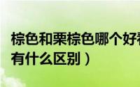 棕色和栗棕色哪个好看（棕色和栗色两种颜色有什么区别）