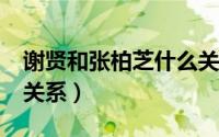 谢贤和张柏芝什么关系?（谢贤和张柏芝什么关系）