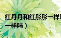 红丹丹和红彤彤一样吗图片（红丹丹和红彤彤一样吗）