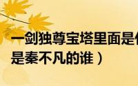 一剑独尊宝塔里面是什么（一剑独尊仙宝阁主是秦不凡的谁）
