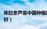 库拉索芦荟中国种植区（库拉索芦荟哪的产地好）