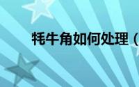 牦牛角如何处理（怎么处理牦牛角）