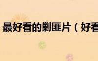最好看的剿匪片（好看的剿匪电视剧有哪些）