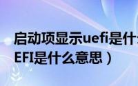 启动项显示uefi是什么意思啊（启动项显示UEFI是什么意思）