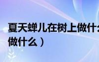夏天蝉儿在树上做什么事情（夏天蝉儿在树上做什么）