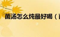 菌汤怎么炖最好喝（菌汤的家常做法清炖）