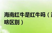 海南红牛是红牛吗（海南红牛和红牛维他命有啥区别）