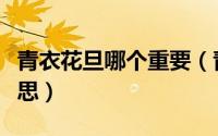 青衣花旦哪个重要（青衣和花旦具体是什么意思）