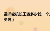 远洋轮机长工资多少钱一个月（出海远洋打渔一个月能挣多少钱）