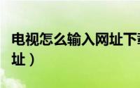 电视怎么输入网址下载软件（电视怎么输入网址）