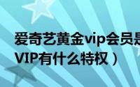 爱奇艺黄金vip会员是什么意思（爱奇艺黄金VIP有什么特权）