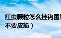 红虫颗粒怎么挂钩图解（红虫挂钩的正确方法不要皮筋）