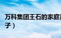 万科集团王石的家庭背景（万科王石有几个儿子）