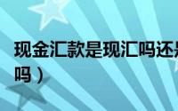 现金汇款是现汇吗还是现汇（现金汇款是现汇吗）
