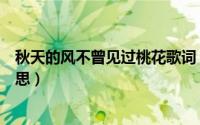 秋天的风不曾见过桃花歌词（秋天的风不曾见过桃花什么意思）