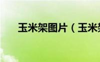 玉米架图片（玉米架子用木头怎么做）