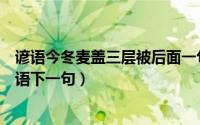 谚语今冬麦盖三层被后面一句是什么（今冬麦盖三层被歇后语下一句）